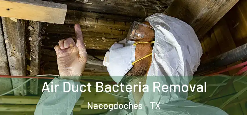  Air Duct Bacteria Removal Nacogdoches - TX