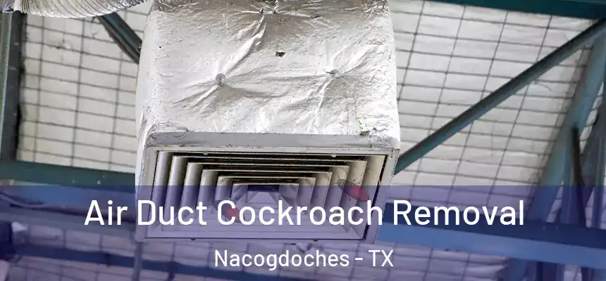  Air Duct Cockroach Removal Nacogdoches - TX