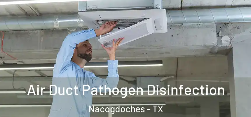  Air Duct Pathogen Disinfection Nacogdoches - TX