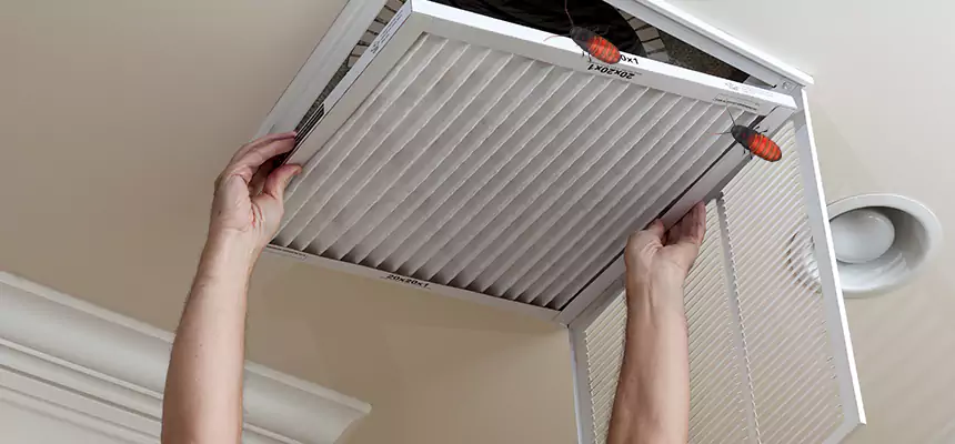 Preventive Cockroach-Proofing for Ducts in Nacogdoches