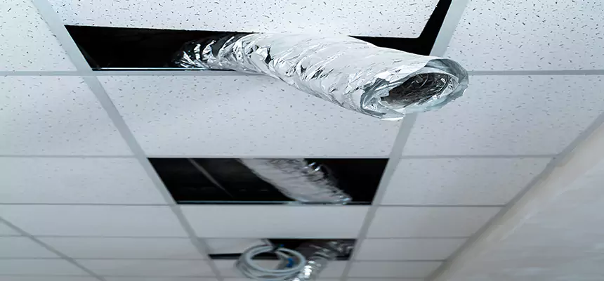 Our Air Duct Pet Hair Removal Services in Nacogdoches, TX