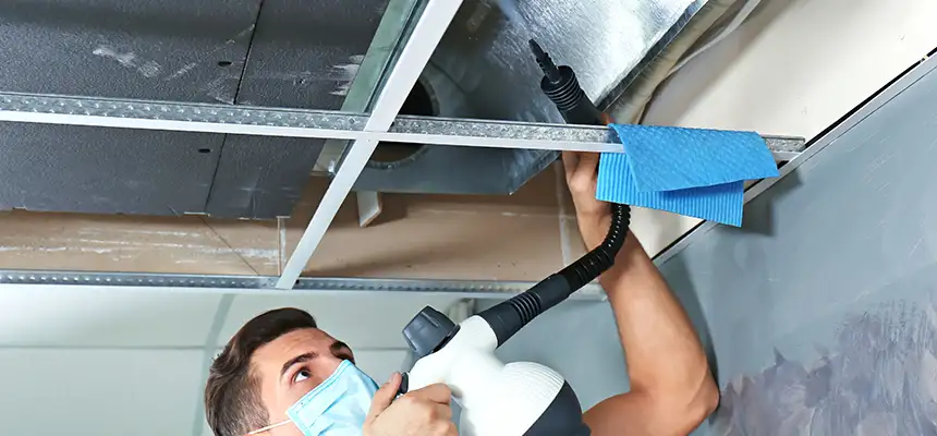 Our Air Duct Rodent Removal Services in Nacogdoches, TX