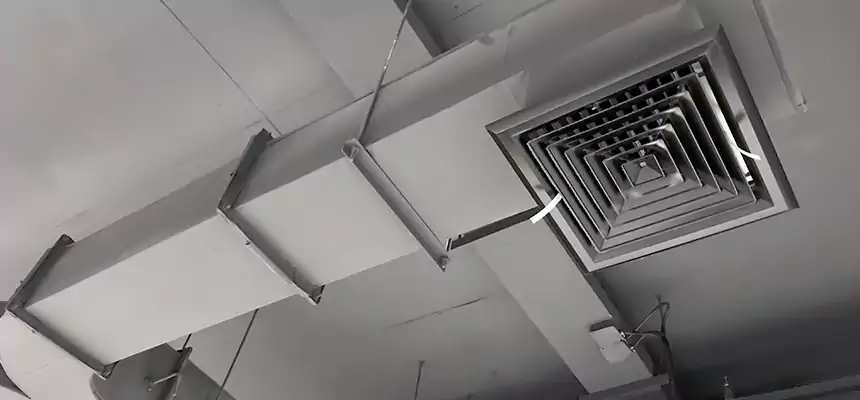 Restorative Allergy Relief Vent Cleaning – Coil, Blower & Housing Detail in Nacogdoches