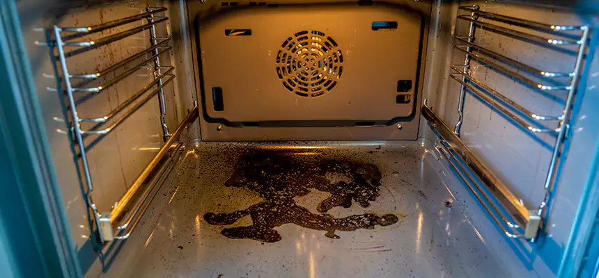 Our Dryer Vent Mold Cleaning Services in Nacogdoches, TX