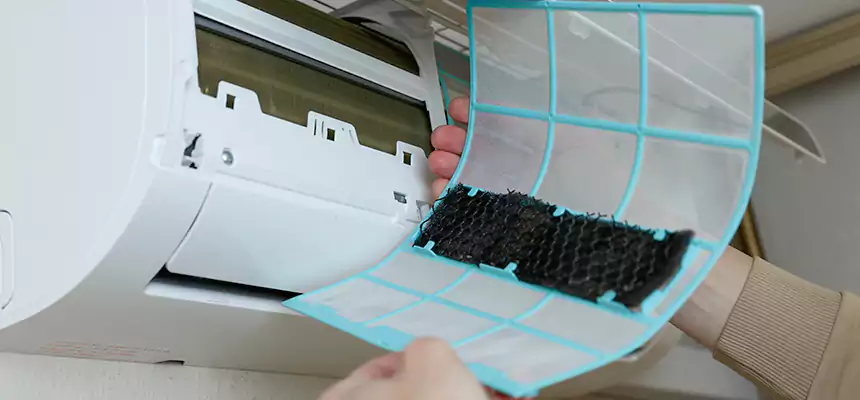 Gentle Ductwork Odor-Control Pet Dander Duct Cleaning in Nacogdoches, TX