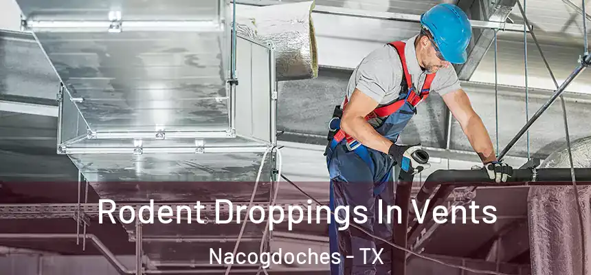  Rodent Droppings In Vents Nacogdoches - TX