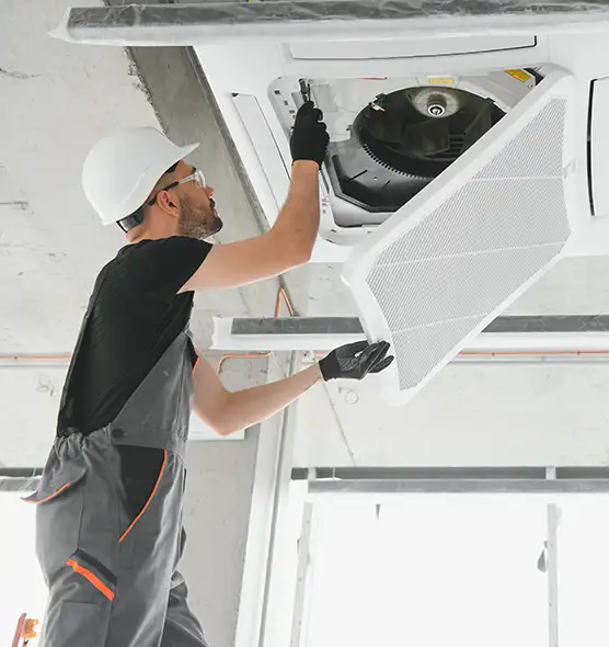 About Air Duct Rodent Removal in Nacogdoches, TX