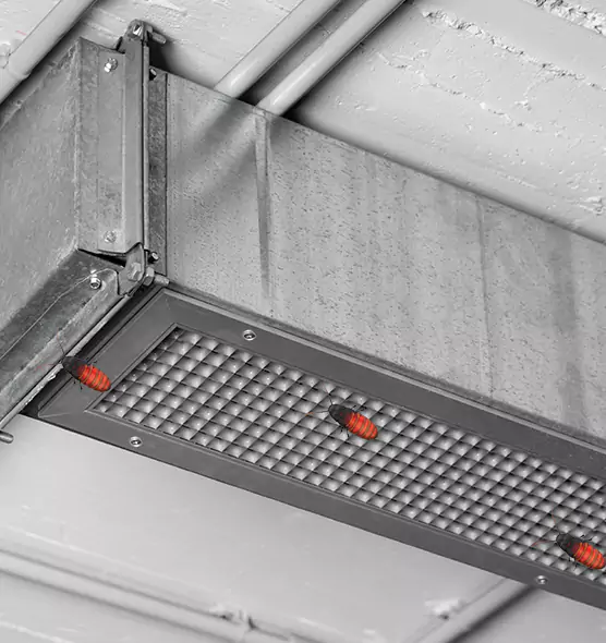 Affordable Insect Removal from Air Ducts in Nacogdoches, TX
