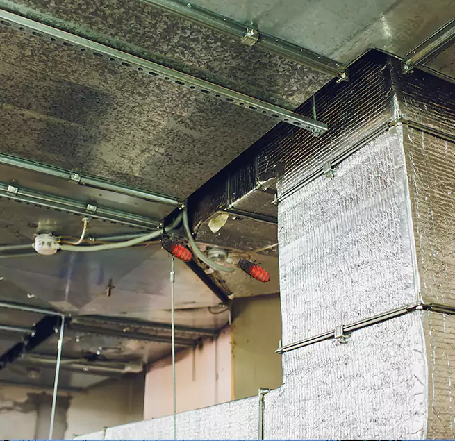 Why Homeowners & Businesses Trust Us in Nacogdoches, TX?