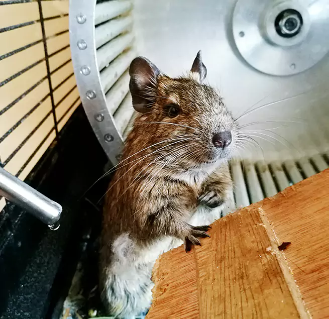 Why Homeowners & Businesses Trust Us Nacogdoches, TX?